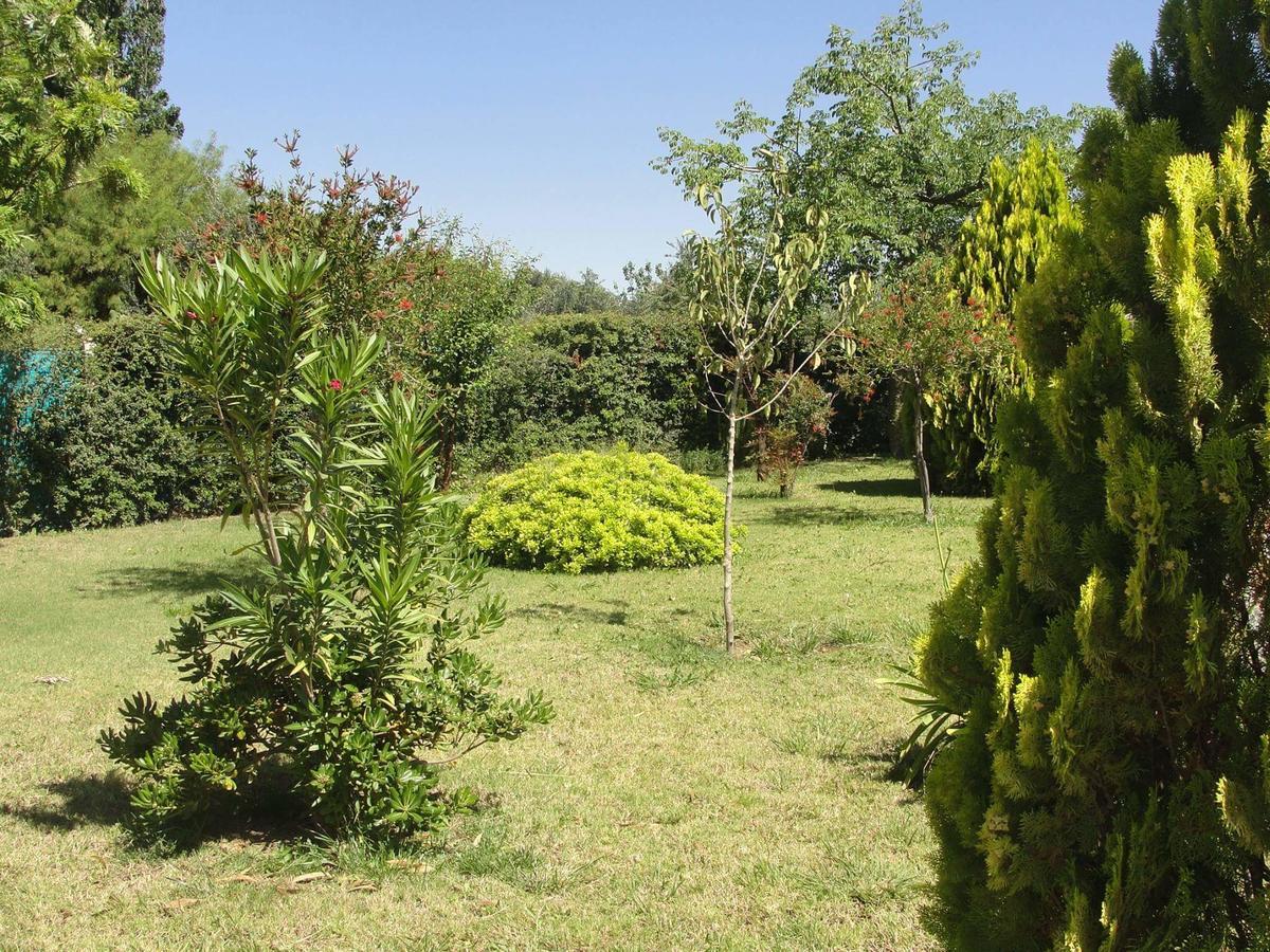 Apart Hotel Chilecito Bagian luar foto